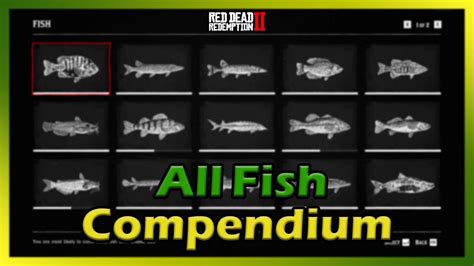 rdr2 fish compendium.